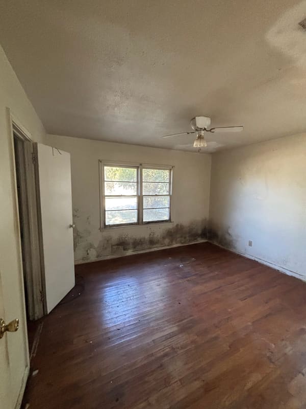 811 Lausanne Drive photo 10