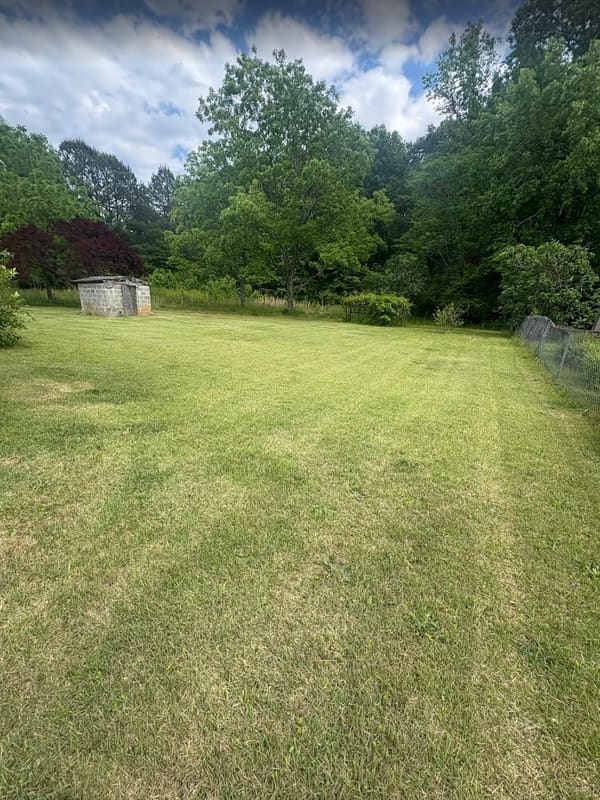 702 US Hwy 80 photo 3