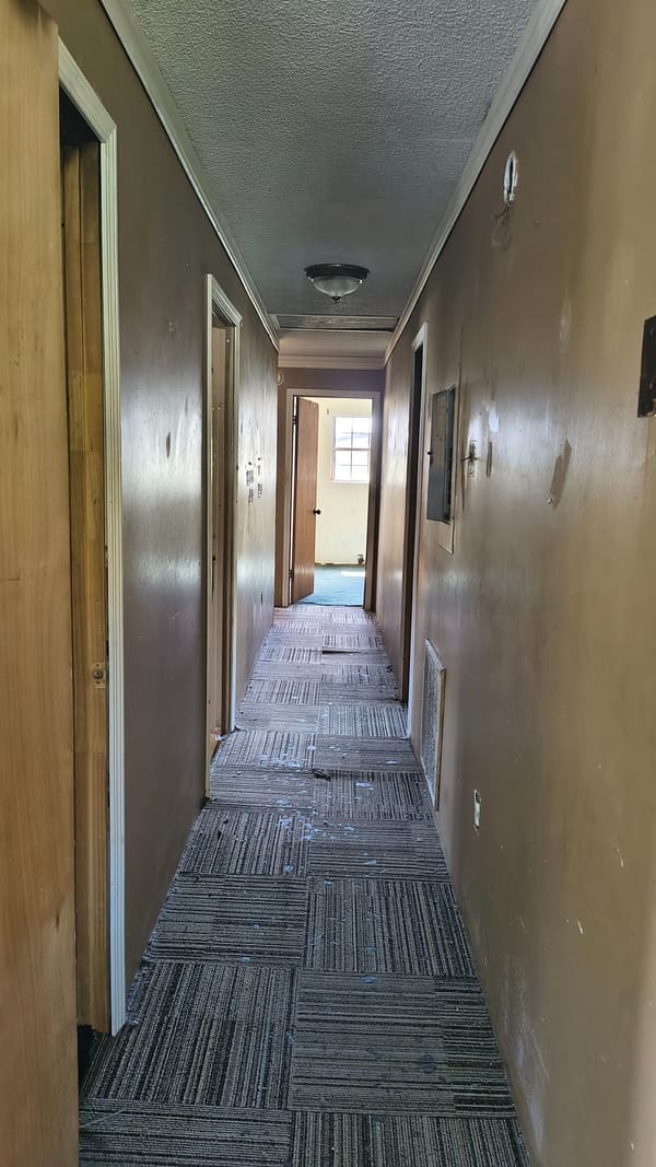317 Holmes Road photo 9