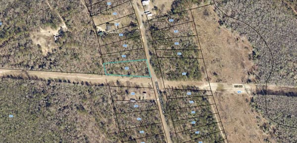Baldwin Forest Lot 37 photo 1