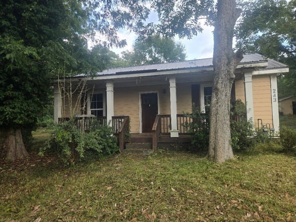 243 Wilson Street photo 1