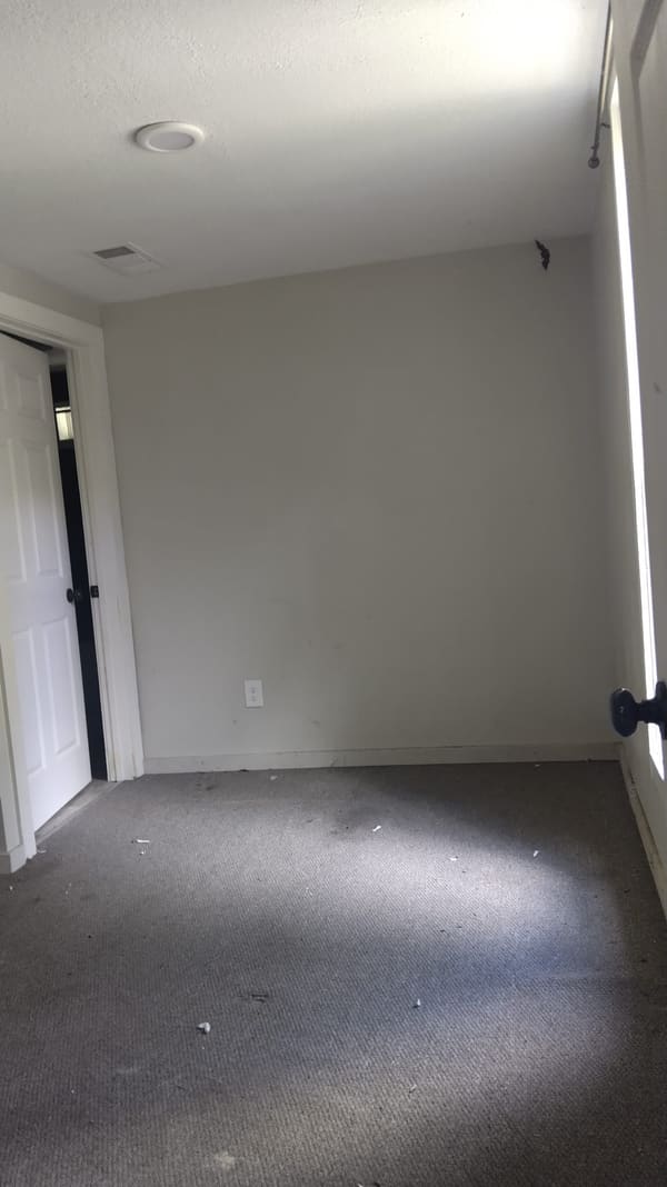243 Wilson Street photo 8