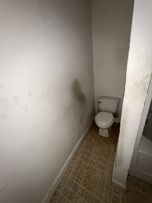 210 Agnes Drive  photo 9