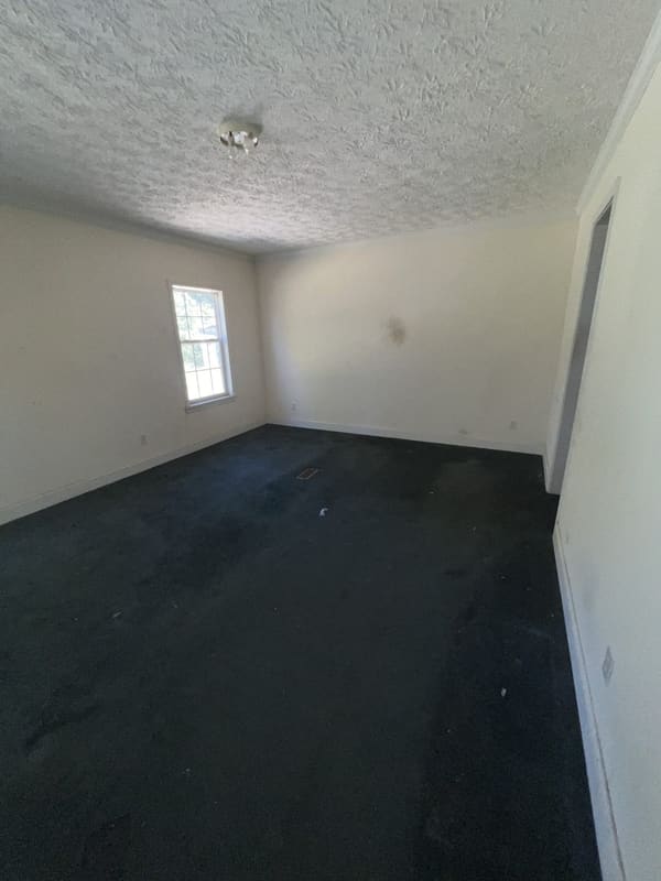 210 Agnes Drive  photo 11