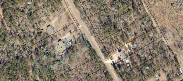 Baldwin Forest Lot 52 photo 1