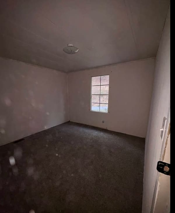 1128 Dry Tripe Road photo 5