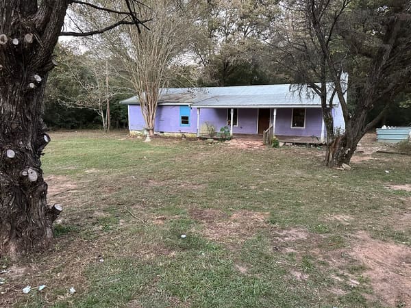 228 Tulip Drive  photo 2