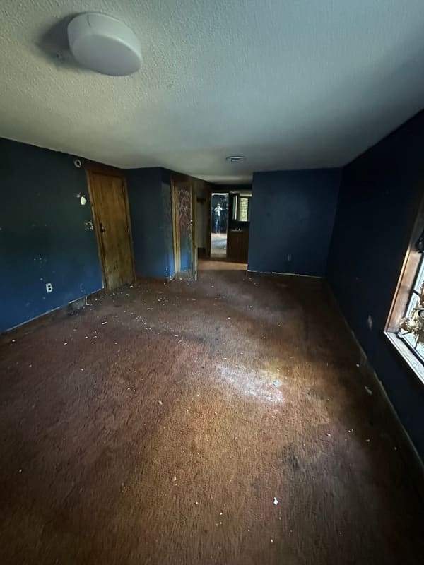 228 Tulip Drive  photo 4