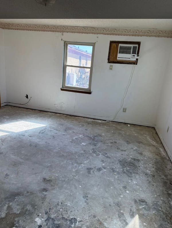 120 Palmetto Street photo 4