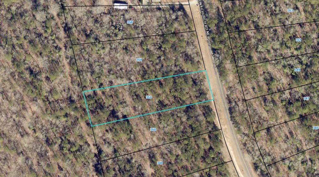 Baldwin Forest Lot 45 