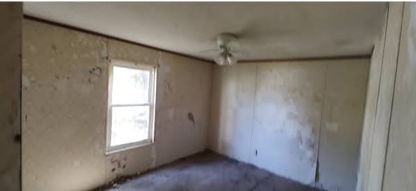 406 Elm Avenue photo 8