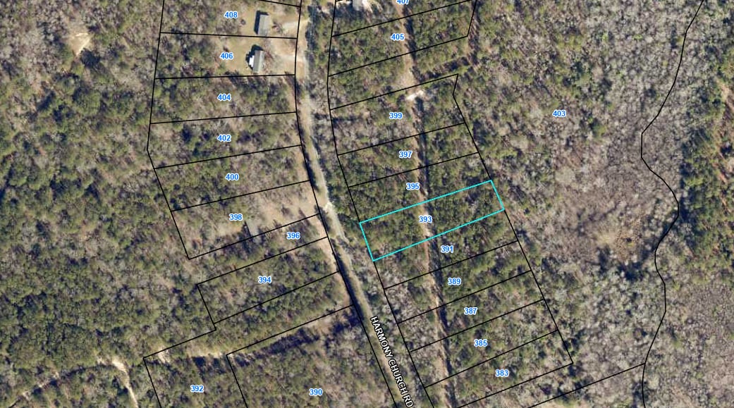 Baldwin Forest Lot 24