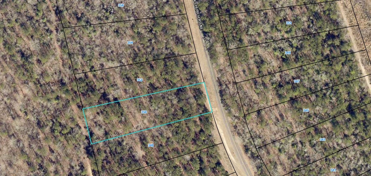 Baldwin Forest Lot 46 