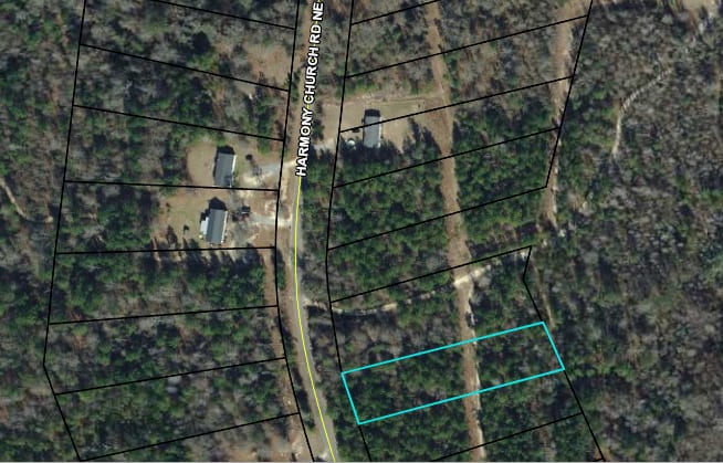 Baldwin Forest Lot 22