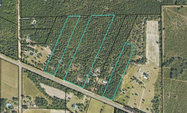 Southern Pine Estates Lot 7 photo 2