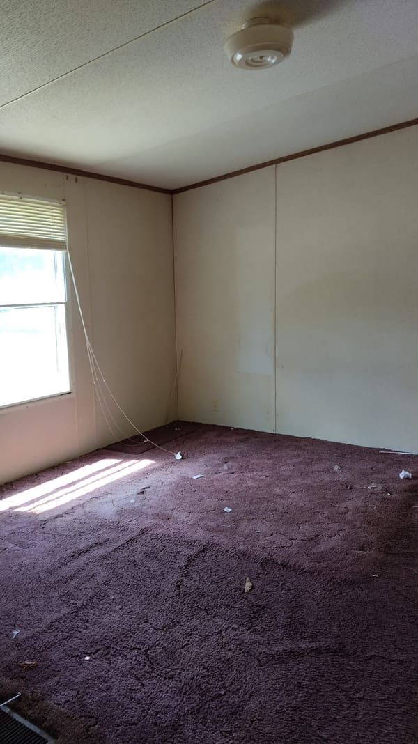 388 Old Swainsboro Road photo 5
