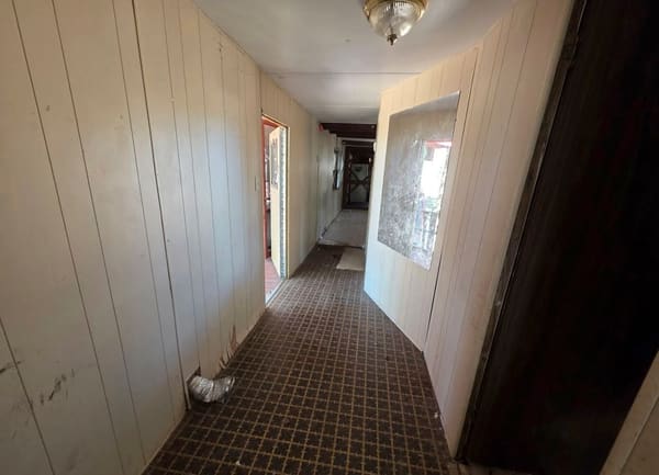50 Shady Lane photo 3