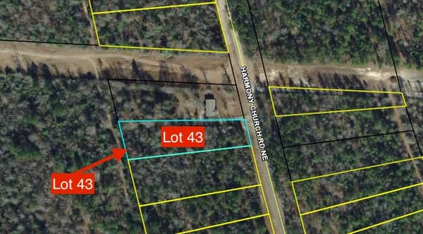 Baldwin Forest Lot 43 photo 1