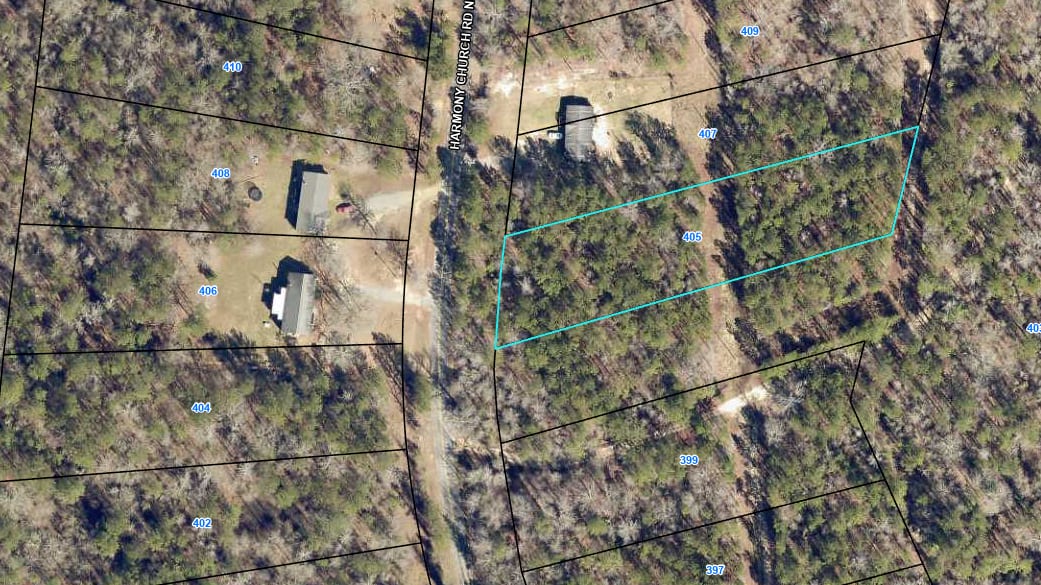 Baldwin Forest Lot 19