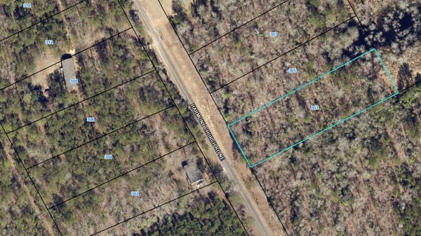 Baldwin Forest Lot 89  photo 1