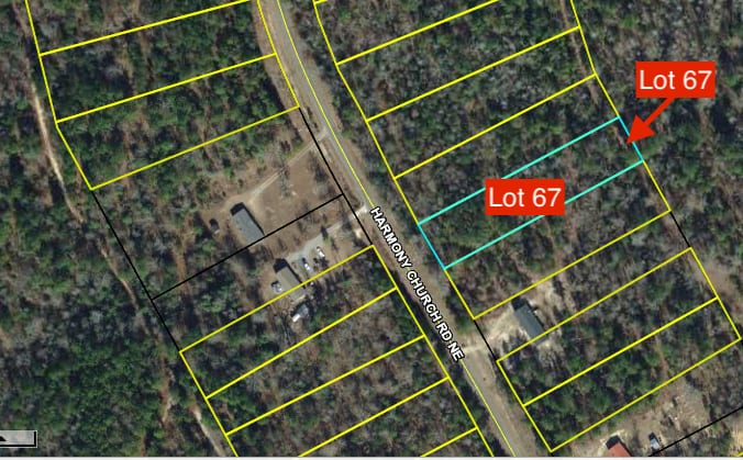 Baldwin Forest Lot 67