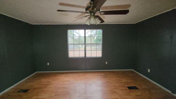 127 Dove Street photo 7