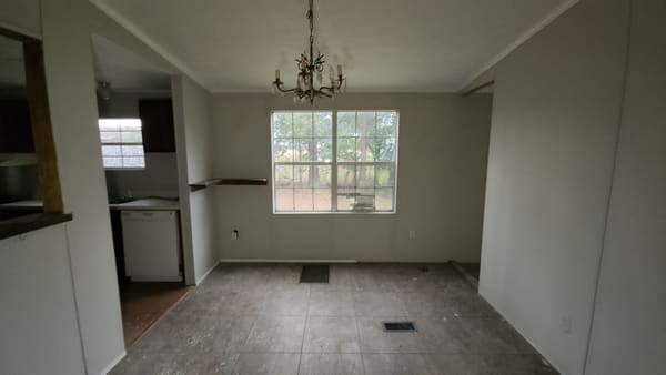 127 Dove Street photo 10
