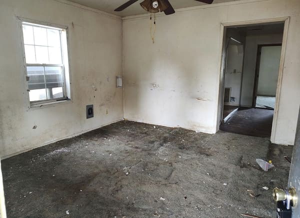 790 E Jackson Street photo 4