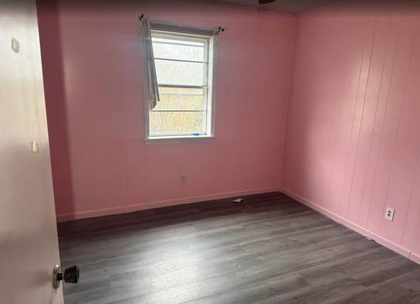 108 Palmetto Street photo 4
