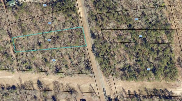Baldwin Forest Lot 36 photo 1